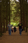 Blarney Castle Grounds