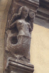 CIMG6042.JPG