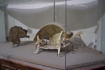 CIMG6287.JPG