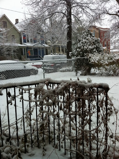 IMG_1219-2010-12-20-10-08.jpg
