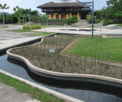 [Jardins[3].gif]