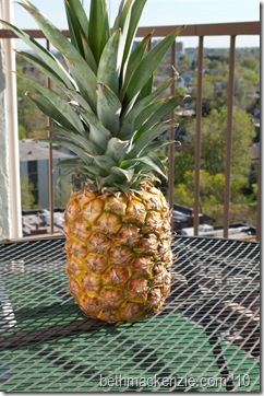 pineapple-10