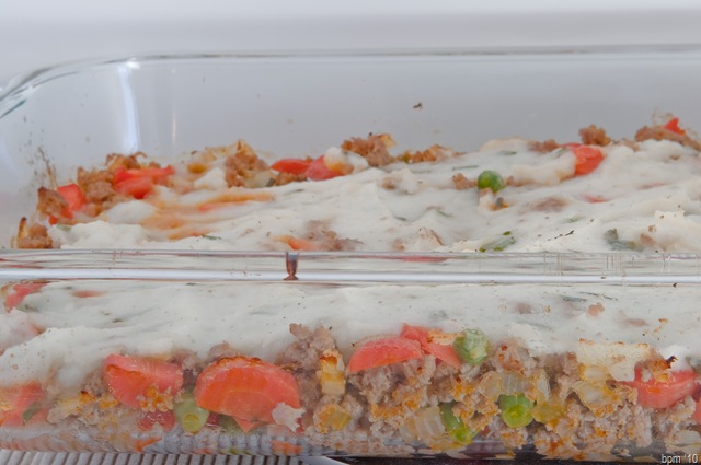 [Shepherd's Pie-2[2].jpg]