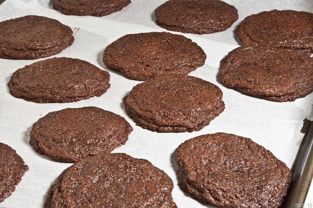 [chocolate cookies-6[2].jpg]