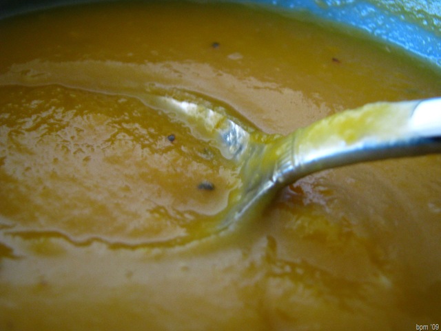 [butternut soup[2].jpg]