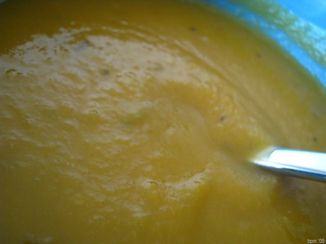 [butternut squash[2].jpg]