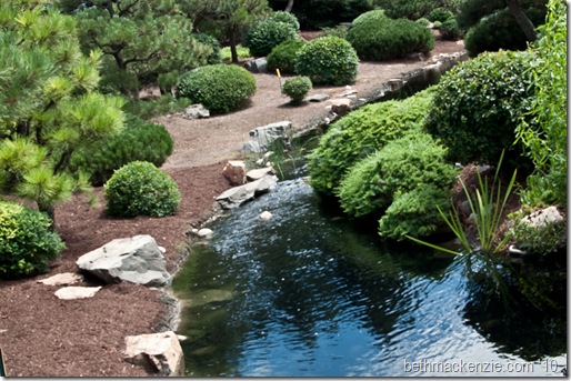 botanic gardens-173