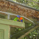 S3600075.JPG