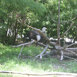 S3600080.JPG