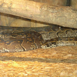 S3600029.JPG