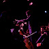 DSC_0119 copy.jpg