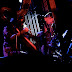 DSC_0255 copy.jpg
