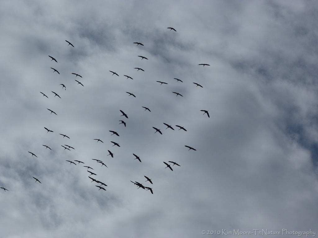 [P1010862[9].jpg]