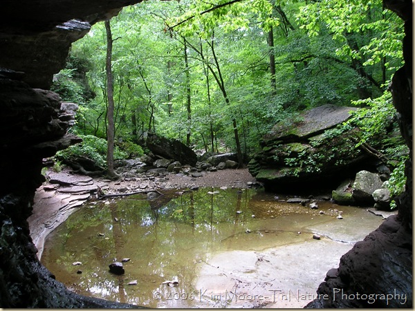 Cob Cave