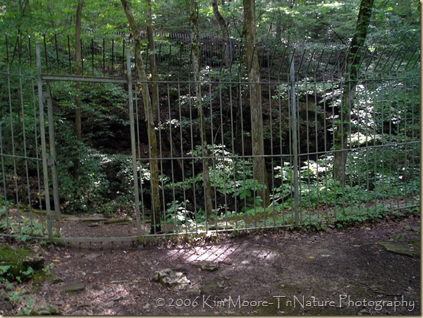 BatCave2 BatCave2