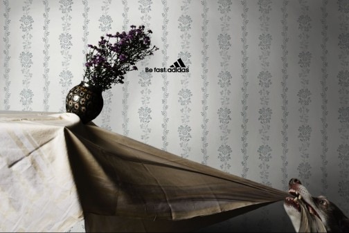 adidas1 adidas1
