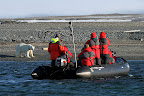 Traveling With Tiger Slideshow