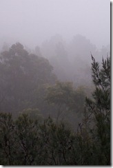 misty view of mt wellington sunday 4-9-10
