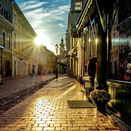 Backlight by Laci Erdős - City,  Street & Park  Street Scenes
