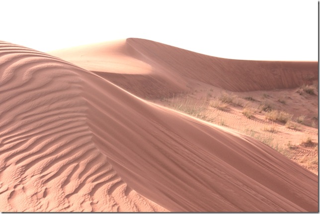 Desert Desert