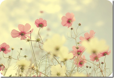 blomster
