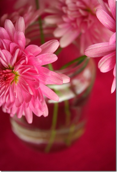 pink1