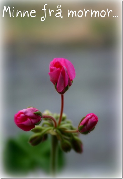 blomster