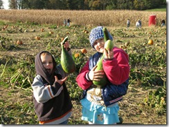 Corn Maze