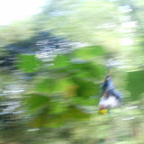 P7230165_800x600.jpg