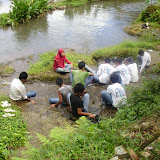 P7230127_800x600.jpg