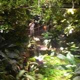 Oringen 2007