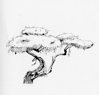 Click to view full size Thumbnail image for http://lh3.ggpht.com/_RSwKK_UuzJo/S80V_msjJgI/AAAAAAAABRs/Zah6bOQwX4Q/tree2.jpg