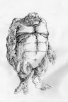 Click to view full size Thumbnail image for http://lh3.ggpht.com/_RSwKK_UuzJo/S80VwGmRpuI/AAAAAAAABRs/RePGuXMBn10/creature.jpg