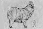 Click to view full size Thumbnail image for http://lh3.ggpht.com/_RSwKK_UuzJo/S80Vx8DaxXI/AAAAAAAABRs/rJEouebiK_4/strange_creature.jpg