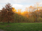 A radiant sunset mixed with autumn colors