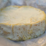 Camembert