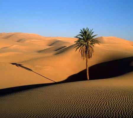 [Sahara. Marruecos[3].jpg]