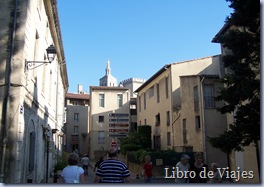 Centro Histórico de Aviñón. La ciudad más importante de Provenza desde el punto de vista histórico por acoger al Papado durante 100 años 
