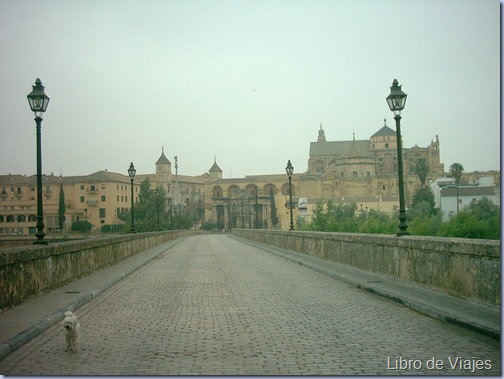 Vistas desde el Puente Romano de Córdoba. Al frente la Mezquita y el Alcázar de los Reyes Cristianos, designado patrimonio de la Humanidad desde 1984