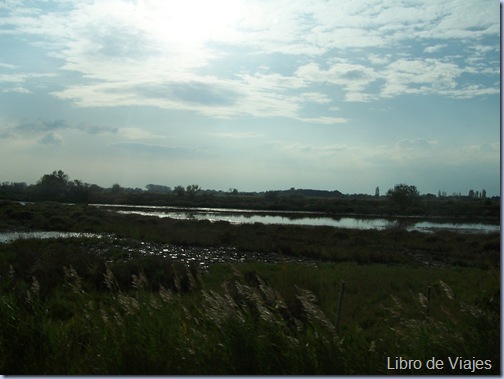 Marismas del Parque Nacional de Le Camargue al Sur de la Provenza, cerca de Arles