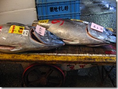 13Japan-FishMarket 018