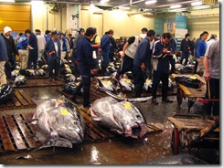 13Japan-FishMarket 020