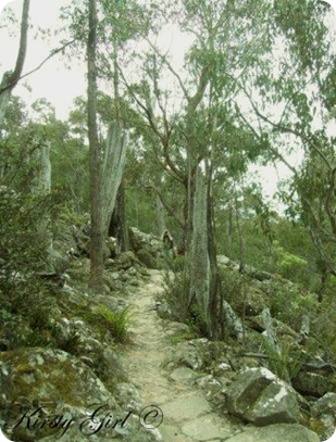 Mt. Wellington Track #7 Mt. Wellington Track #7