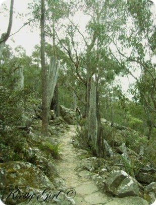 Mt. Wellington Track #7