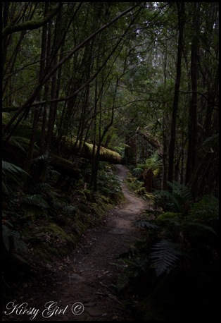 Andi-Mountain-blog1 Andi-Mountain-blog1