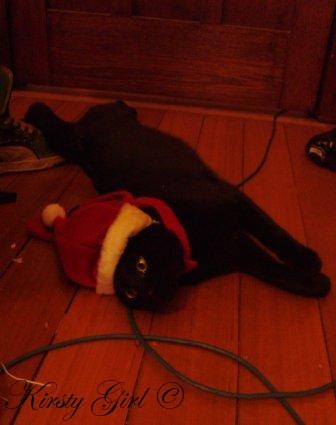 [Christmas Cat #2[5].jpg]