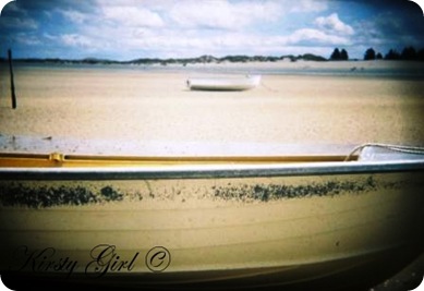 beach shots #6 for 1 beach shots #6 for 1