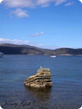 Mason Cove Port Arthur #31 Mason Cove Port Arthur #31