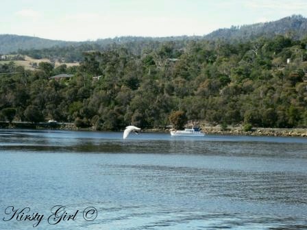 [Skipping Stones #6[5].jpg]