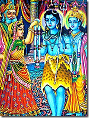 Marriage of Lord Shiva and Parvati